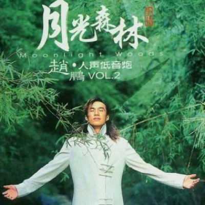 赵鹏-月光森林