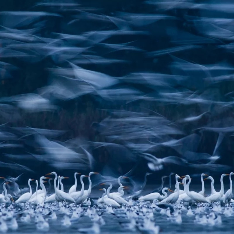 2018充满活力的色彩摄影