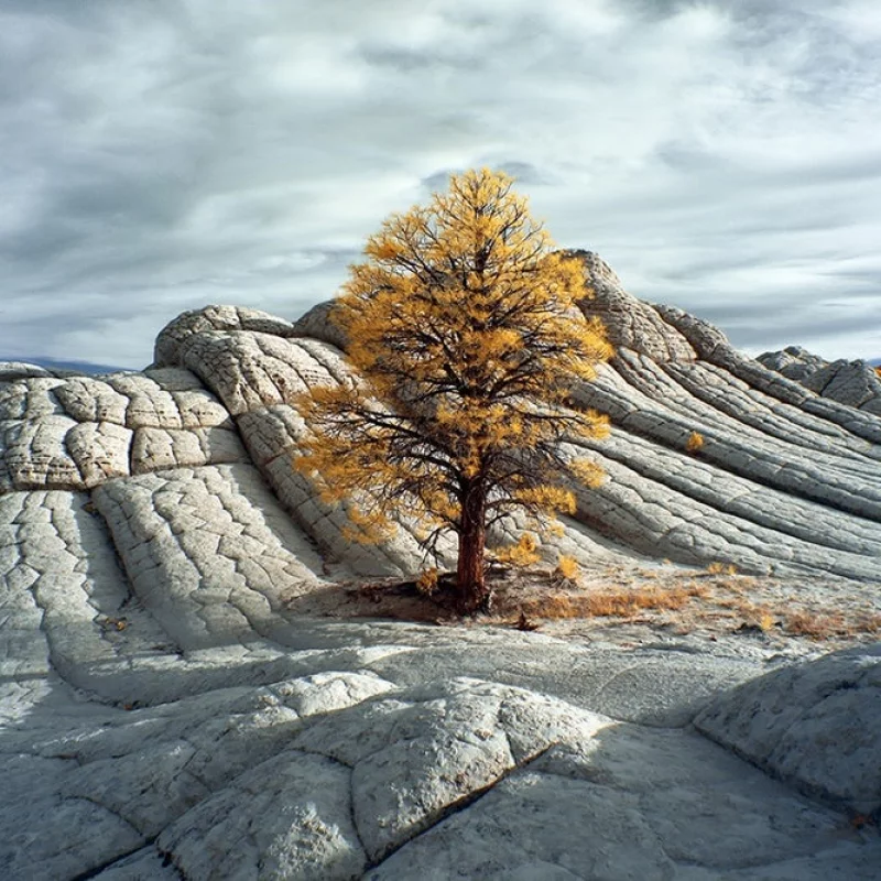 2018充满活力的色彩摄影