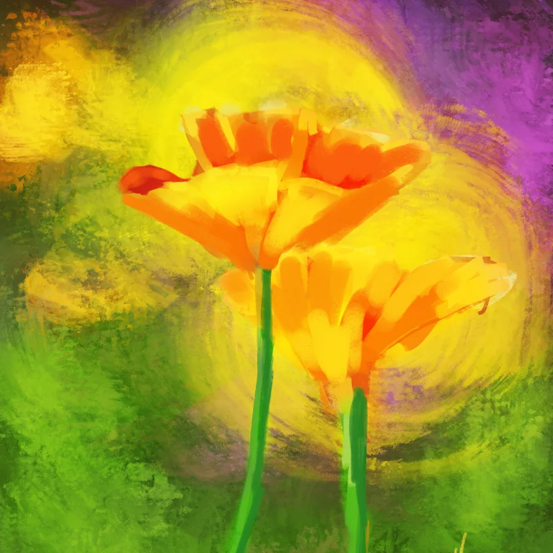 19 年画的一些静物