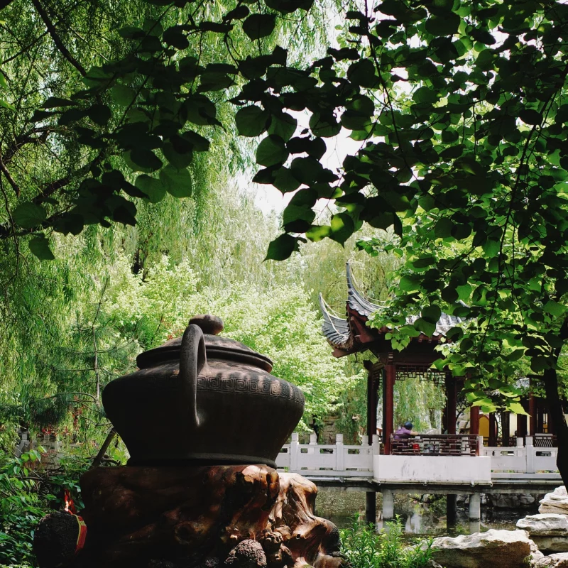 夏日的那一抹绿