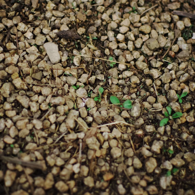 宾得K5+大公主FA43 f1.9的色彩