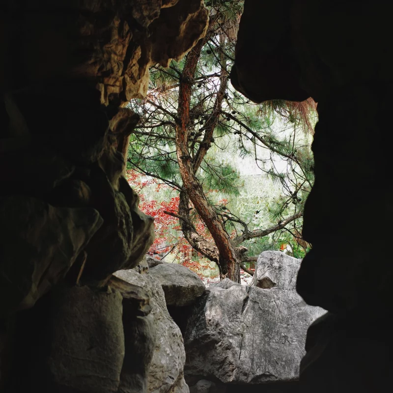 夏日的那一抹绿