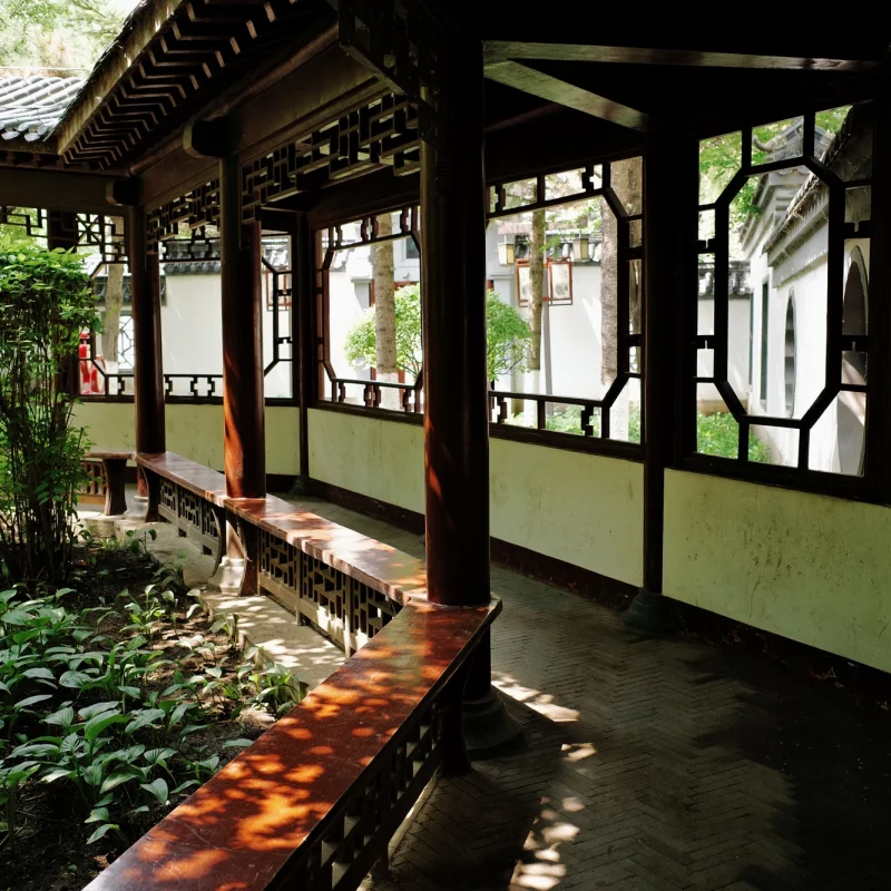 夏日的那一抹绿