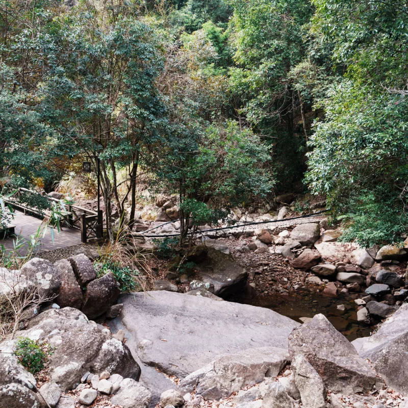 冬日那抹青绿色的暖意