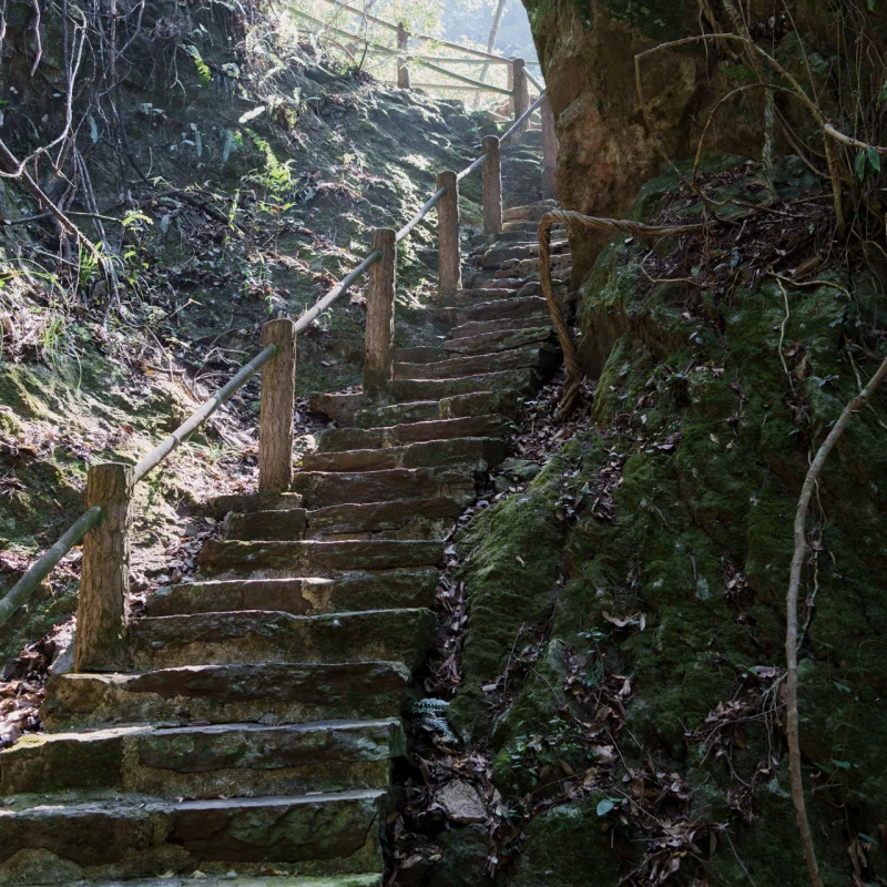 一条小路弯弯曲曲