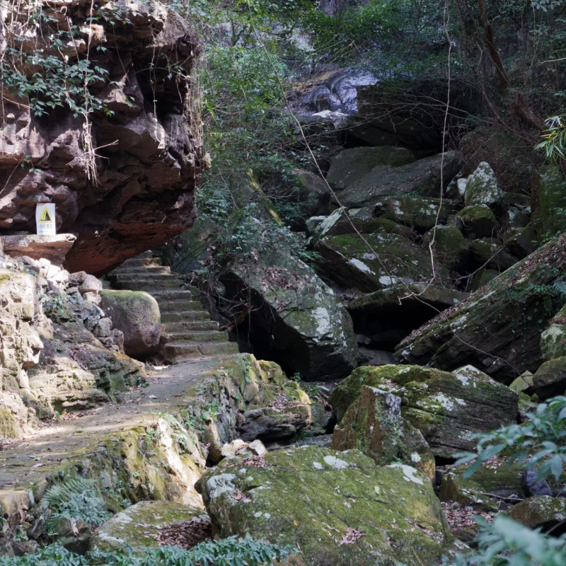 一条小路弯弯曲曲