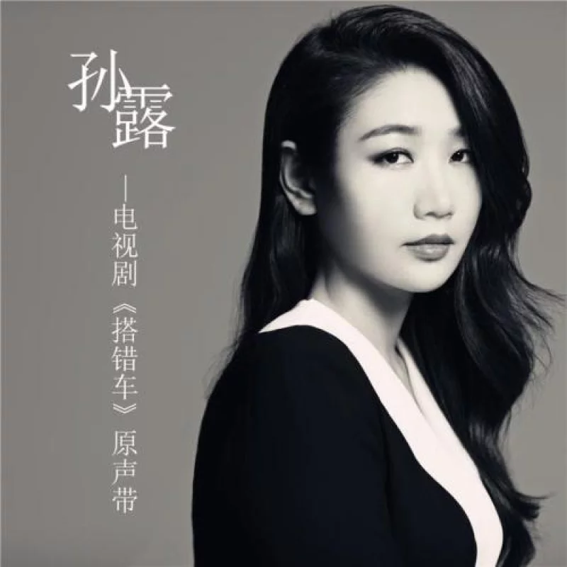 孙露-搭错车 电视原声带