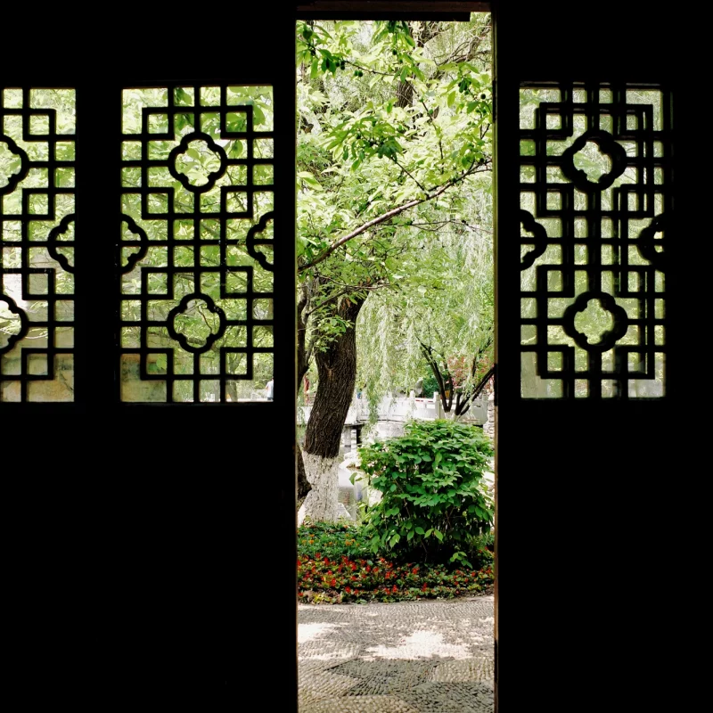 夏日的那一抹绿