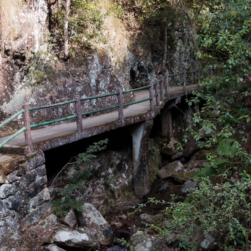 一条小路弯弯曲曲