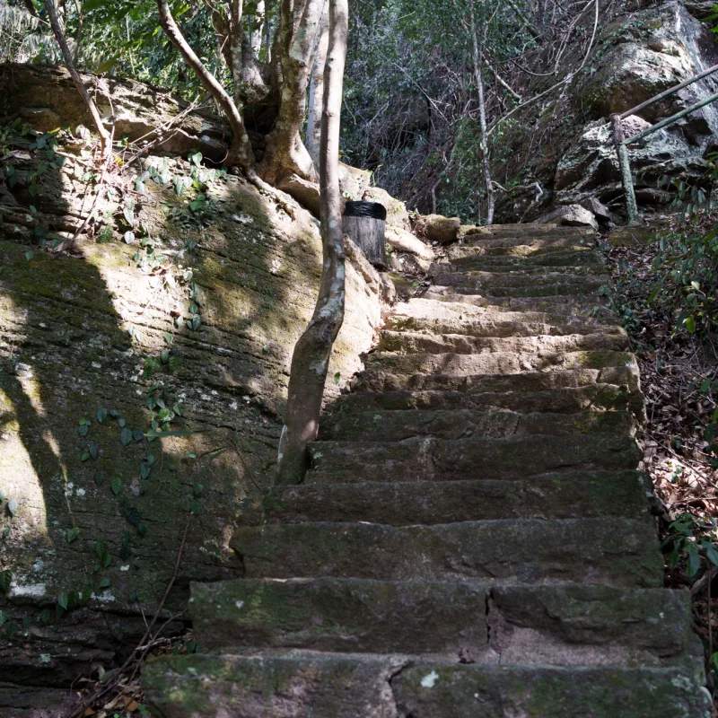 一条小路弯弯曲曲