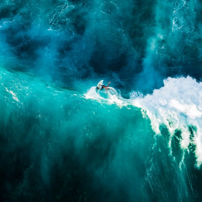 2018充满活力的色彩摄影