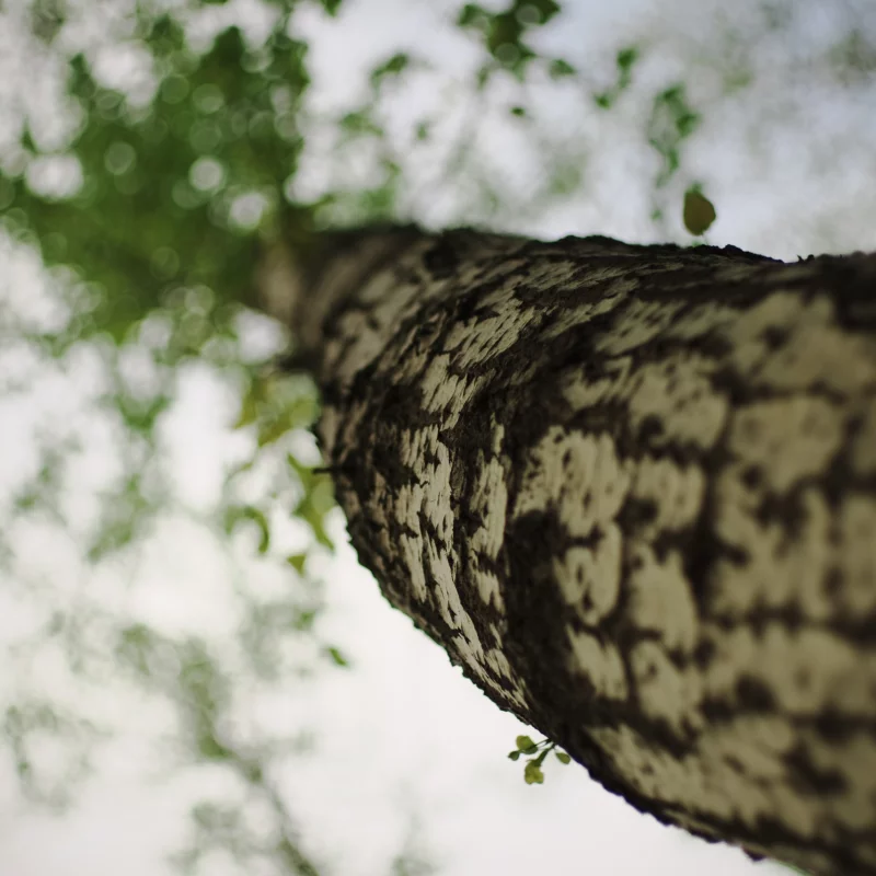 宾得K5+大公主FA43 f1.9的色彩