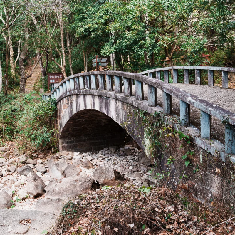 冬日那抹青绿色的暖意