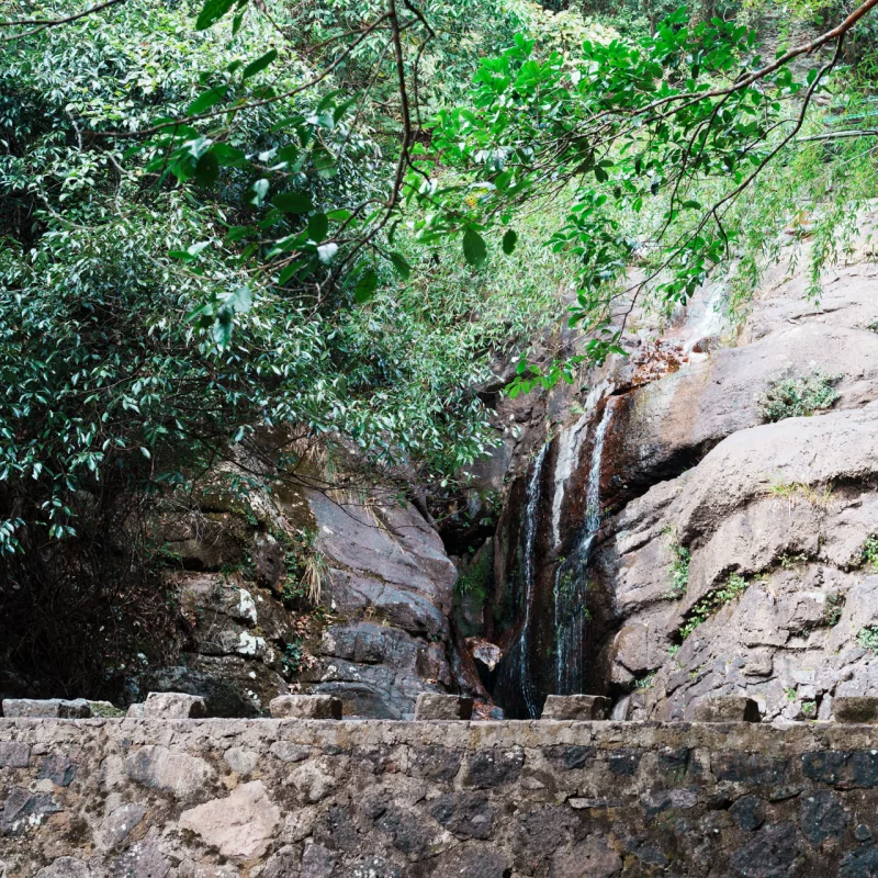 冬日那抹青绿色的暖意